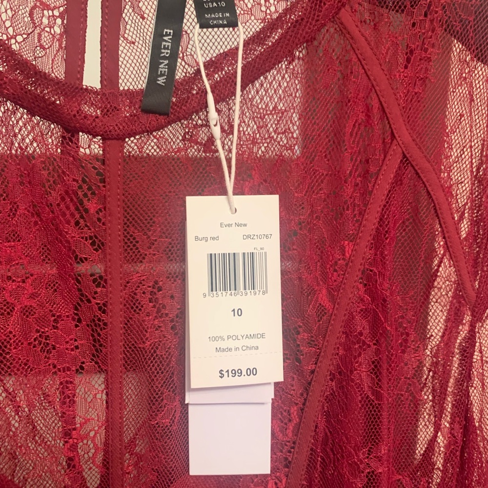 Ever New Arya Chantilly Lace Midi Dress - Picture 4 of 7